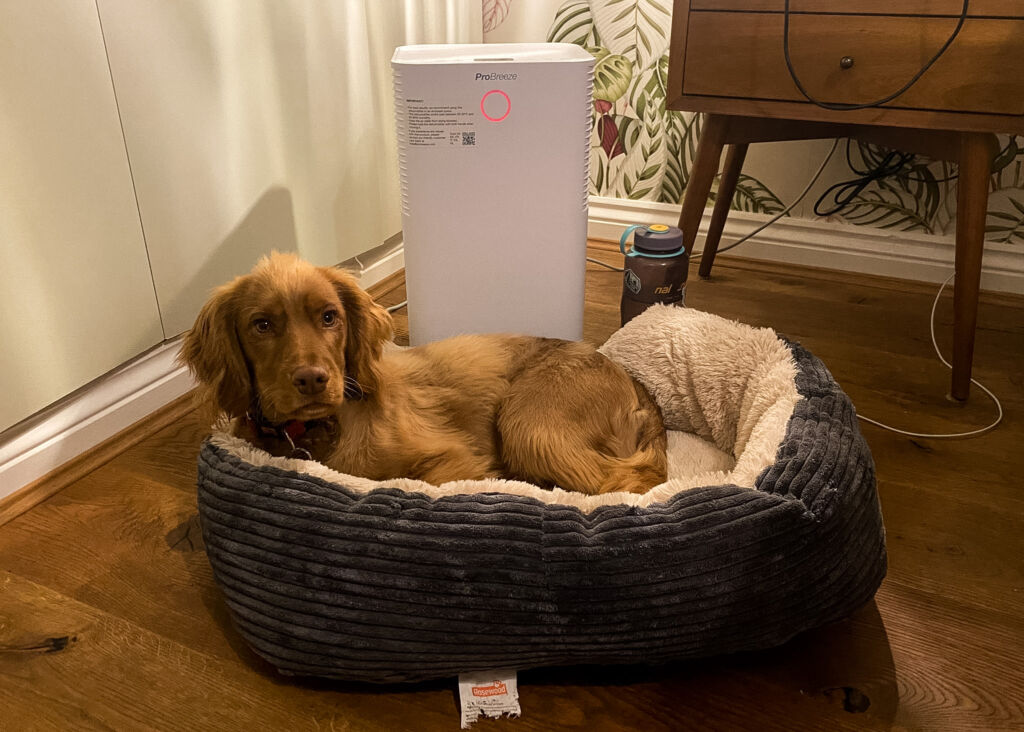 Learn how travel, costs, privacy, internet, and owner communication influence sitter demand and attract more TrustedHousesitters applicants.
