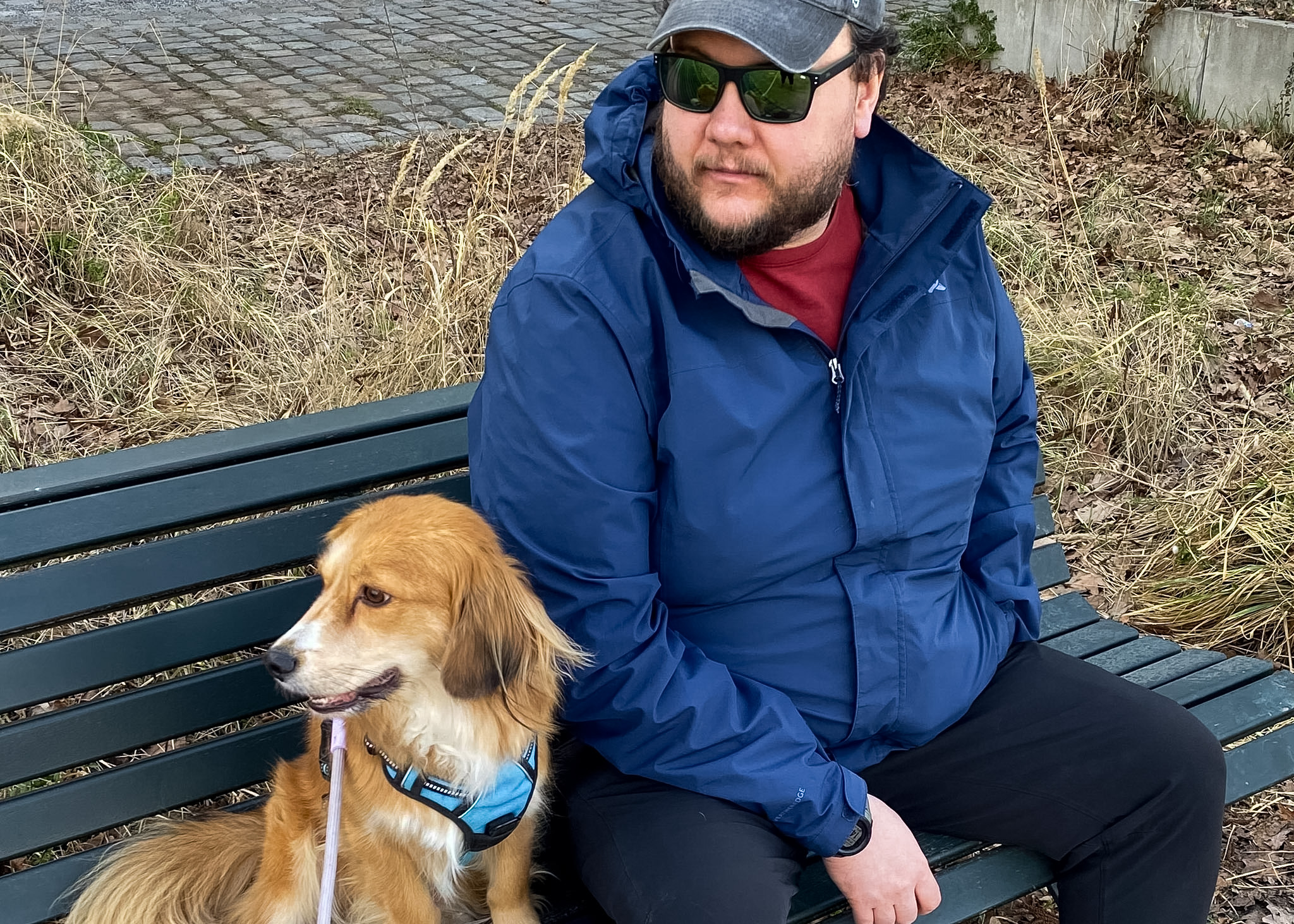 Pet Sitting, Trusted Housesitters, House Sitting