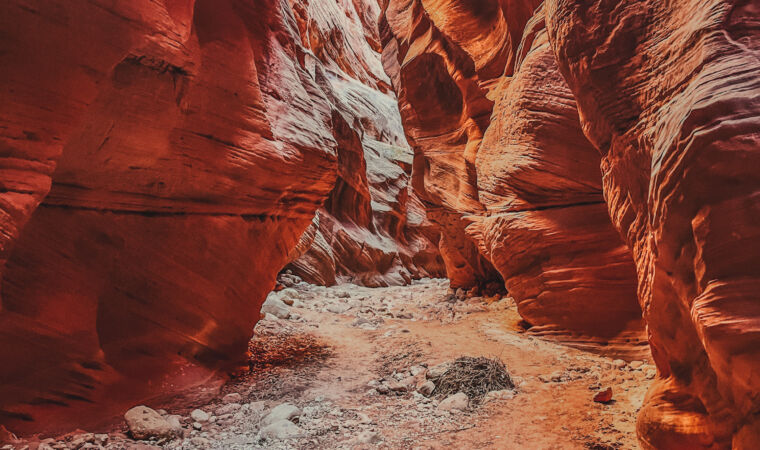 Page, AZ