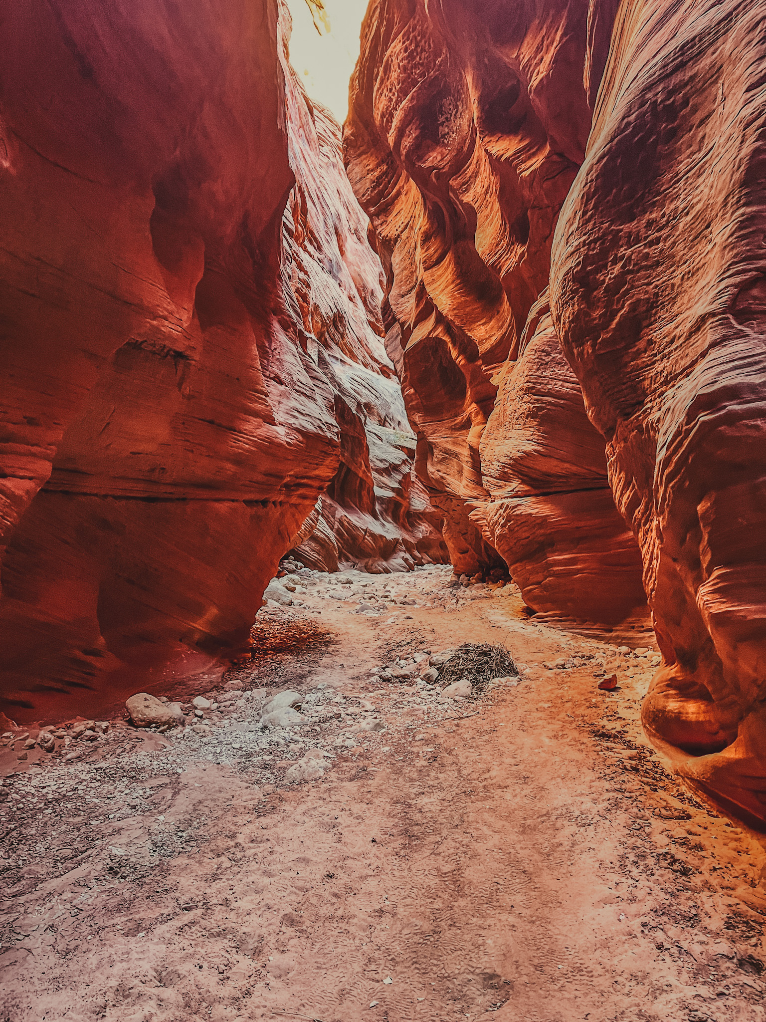 Page, AZ
